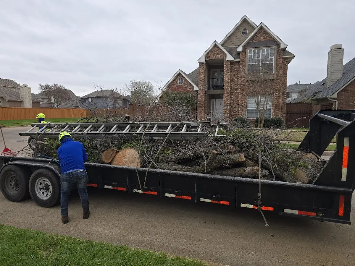 Expert Lot Clearing with proper safety equipment in Ambrose
